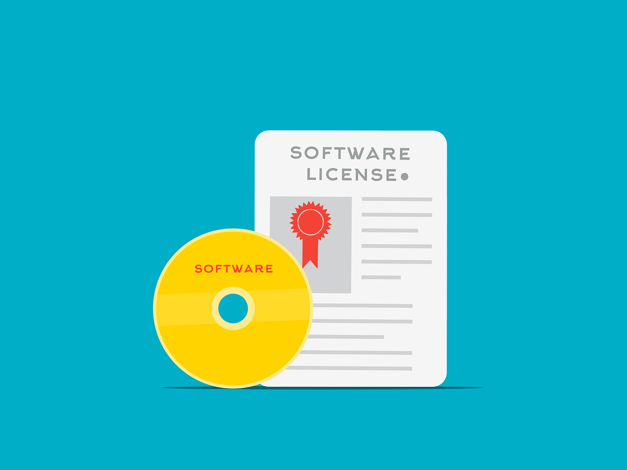 SaaS software laten ontwikkelen